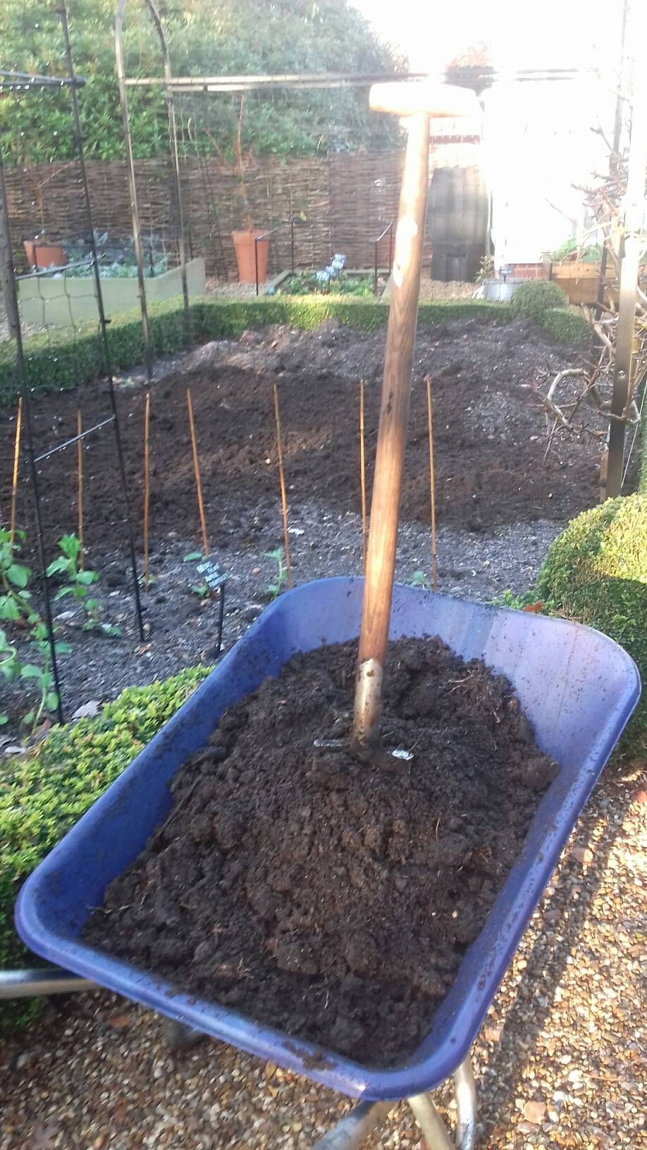 compost in wheelbarrow